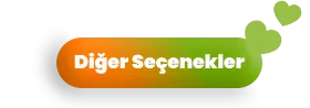 diğer giriş seçenekleri için bir resim